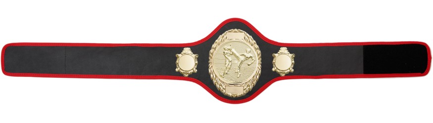 KICKBOXING CHAMPIONSHIP BELT-PRO286/G/KBOG-10+ COLOURS
